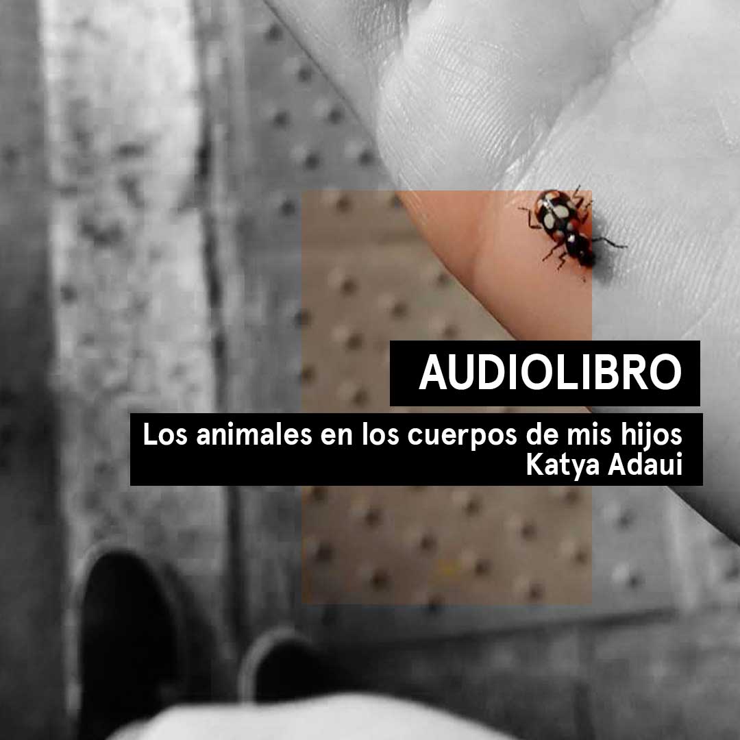 Audiocuento del relato Los animales en los cuerpos de mis hijos de Katya Adaui.
