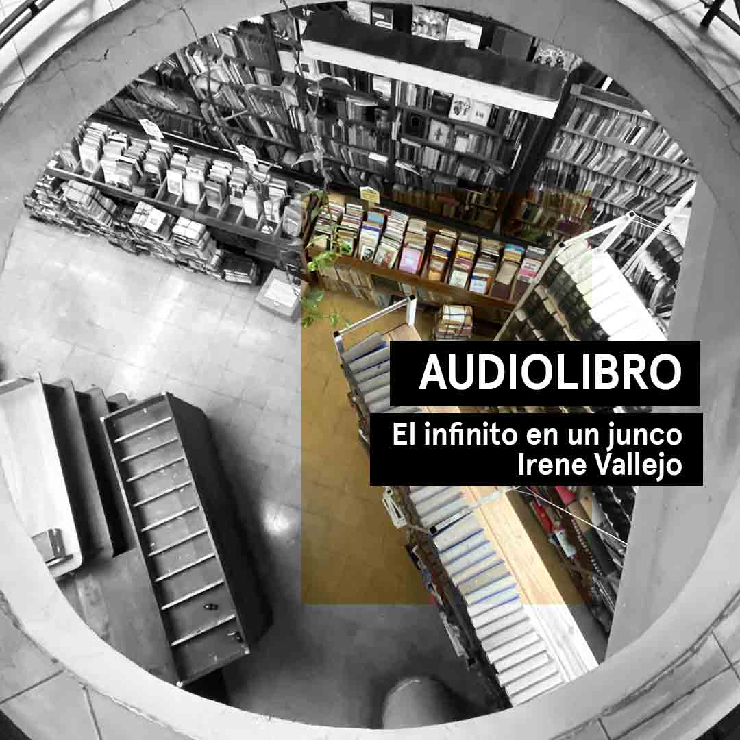Audiocuento del relato El infinito en un junco, de Irene Vallejo.