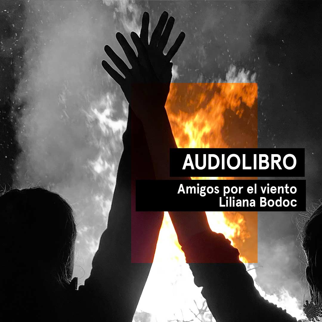 Amigos por el viento de Liliana Bodoc